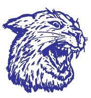 Holton Schools Wildcat